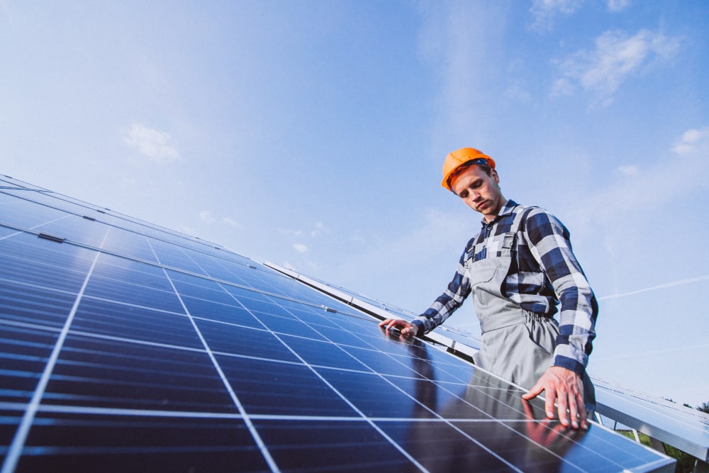 Solar Panel Cleaning